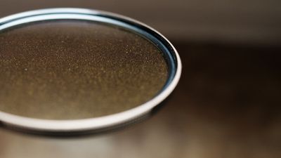 PolarPro McKinnon 135 Gold Mist filter review: Like magic pixie dust, but for a camera lens