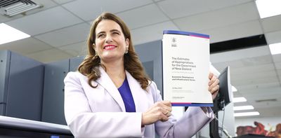 NZ Budget 2025: tax cuts and reduced revenues mean the government is banking on business growth