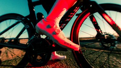 Fizik's new Vega Carbon road shoes are designed from the ground up, and boast increased comfort