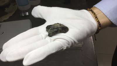 140,000 year old bones of our ancient ancestors found on sea floor, revealing secrets of extinct human species
