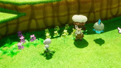 How to get Dandelion Cotton in Fantasy Life i