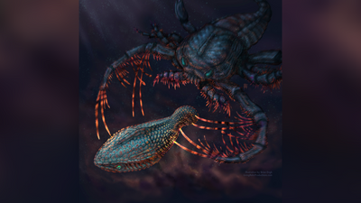 Our teeth evolved from fish 'body armor' over 460 million years, scientists discover