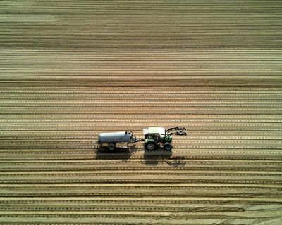 ‘It’s a critical time’: European farmers struggle through driest spring in a century
