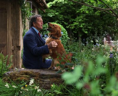 Monty Don’s dog-friendly garden gets tails wagging at the Chelsea flower show