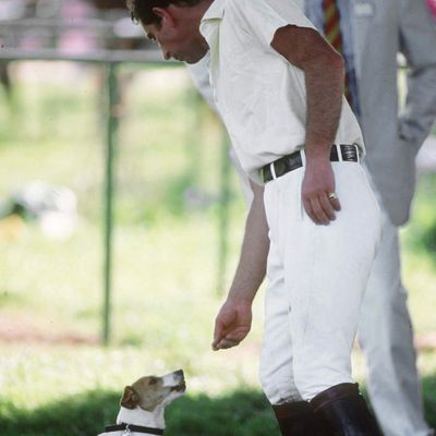 Royal Gardener Reveals King Charles Has Not One, But Two Touching Memorials to His Late Dog at Highgrove House