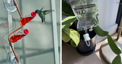 Cultivate Some Joy (And Actual Plants) With These 20 Nifty Garden Finds
