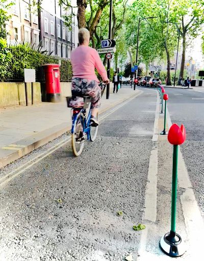 Petal power: central London cycle lane lined with tulip wands made from recycled plastic