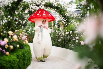 OPINION - Chelsea Flower Show: The Royal Horticultural Society has completely lost the plot