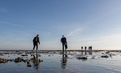 From oyster safaris to bridgewalking: discover nine outdoors experiences that make Denmark different