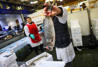 The hidden cost of your supermarket sea bass