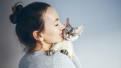 Hypoallergenic cat breeds: The 12 best options for allergy sufferers