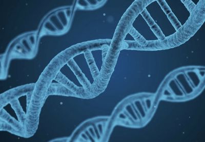 23andMe Sells DNA Database to Regeneron in £256m Deal: Is Your Data Safe?