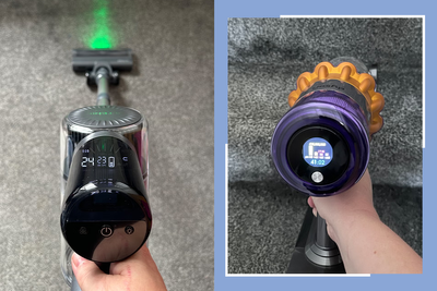 8 best pet vacuum cleaners, tried and tested by a dog owner