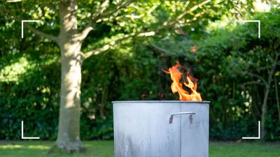 Can you burn garden waste? Horticulture experts and waste disposal specialists reveal all