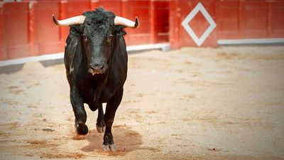 Stock Market Today: Dow Jones, S&P 500 Edge Lower; An IBD 50 Stock Hits New High (Live Coverage)
