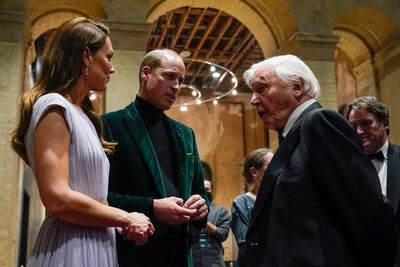 William: David Attenborough's my ‘inspiration’ for BBC YouTube series celebrating wildlife rangers