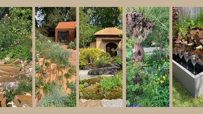 Talking trees, Japanese moss mounds and slow gardening – these are my RHS Chelsea Flower Show 2025 highlights