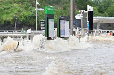 People urged to avoid Vivid opening night as heavy rain causes transport havoc across Sydney