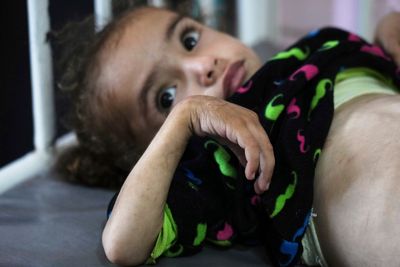 Nineteen months of carnage: How Gaza was reduced to rubble and starvation as the world watched