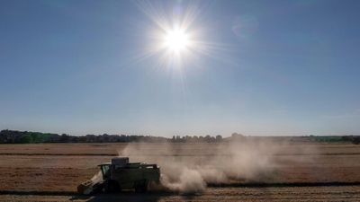 Drought grips northern Europe as farmers brace for poor harvests