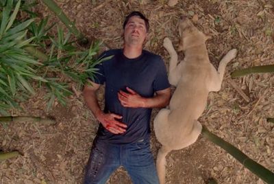 15 Years Later, The Most Divisive Sci-Fi Finale Of The Century Still Resounds