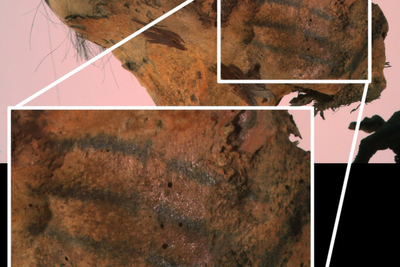 Archaeologists baffled to find strange 800-year-old mummy with face tattoos