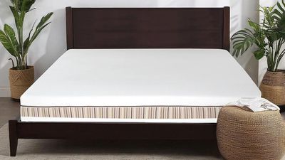 What is the Essentia Venti Organic Latex mattress and should you buy it?
