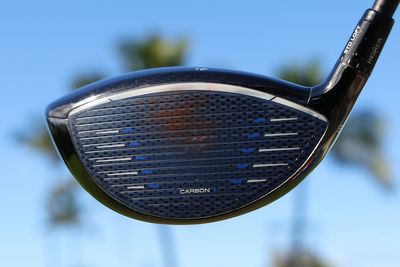 Country club golf pro sues family friend for $1 million after face ‘permanently disfigured’ by ‘careless’ swing