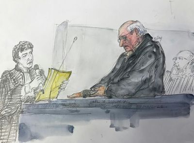 Twenty-year Term Sought For French Surgeon In Mass Patient Abuse Trial