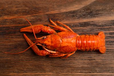 5 Restaurant Chains That Came Back From Controversy
