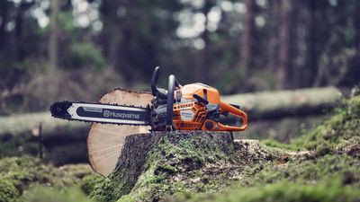 Husqvarna launches user-friendly chainsaw that's perfect for DIY gardeners