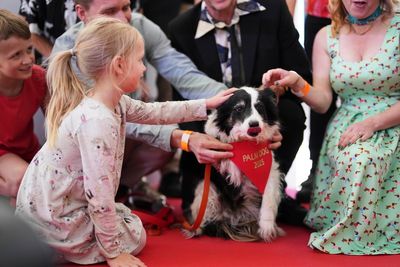 Panda wins the 2025 Palm Dog award at Cannes — and a look-alike accepts