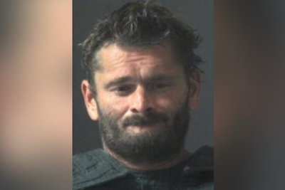 Owner killed his Chihuahua by ‘stuffing it in the oven and turning it on because the dog barked too much’