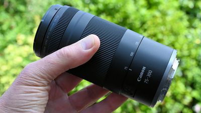 Canon RF 75-300mm f/4-5.6 review: a new mirrorless lens, or a skeleton from Canon’s DSLR closet?