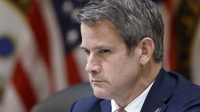 ‘You will be held accountable eventually’: Adam Kinzinger accuses Trump of ‘stock market manipulation’ after ‘ignorant fat toddler”s latest tariff threats