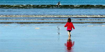 Daylight can boost the immune system’s ability to fight infections – new study