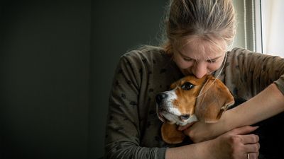 Over half of us turn to our pets before our partners when stressed, survey reveals