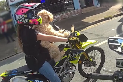 Moment biker riding with dog strapped to her is pulled over by shocked police officer