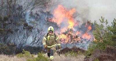 Warning issued over 'severe' environmental impact of Scotland’s wildfire epidemic