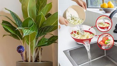 60 Stupid Cheap Things on Amazon That Are So Effing Brilliant