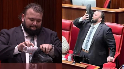 WA MP Celebrates His Resignation By Doing A Shoey In Parliament Because Why TF Not?