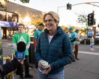 Zoe Daniel requests recount in seat of Goldstein after Liberal Tim Wilson wins by 260 votes