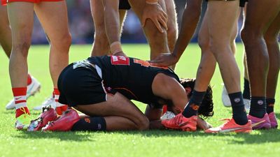 Rival coaches back AFL umpires over Bedford injury call