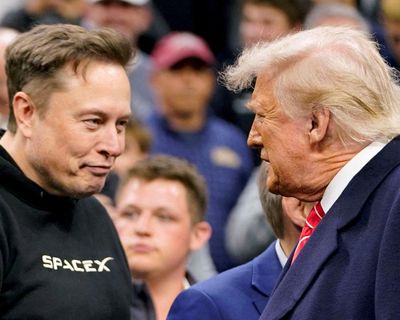 Expert calls Musk’s ‘Doge’ involvement ‘one of the greatest brand destructions’