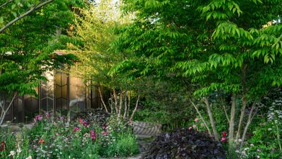 The Glasshouse Garden at Chelsea Flower Show 2025 is a masterclass in bold, meaningful color – I predict this combination will be everywhere in 2026