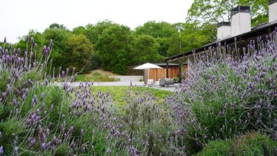It Will Fill Your Garden With Beautiful Scents — 10 Ways to Landscape With Lavender That Make This Mediterranean Shrub Look Its Best