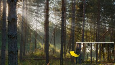 Add atmospheric light rays to forest scenes with this simple combination of effects in Affinity Photo