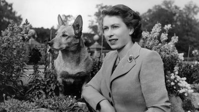 Queen Elizabeth II ‘talks’ through her Corgis, says the Duchess of York