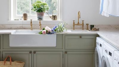 Will ticks die in a washing machine? Pest pros reveal the important caveat to this quick tick remedy