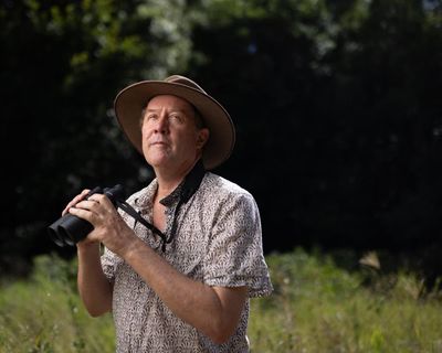 The fight for Woogaroo Forest: new housing could silence some of Queensland’s ‘virtuoso songbirds’
